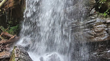 Presidente Figueiredo