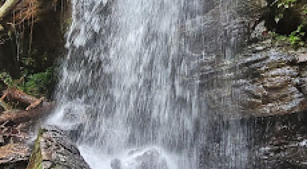 Presidente Figueiredo