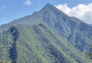 金佛山第 93 张图片