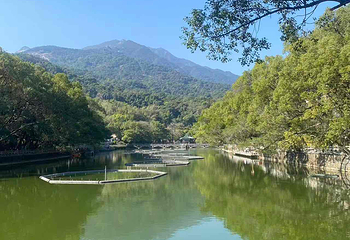 广东罗浮山风景名胜区第 34 张图片