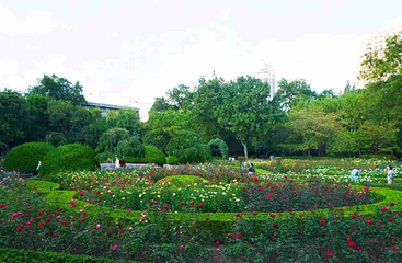 复兴公园第 29 张图片