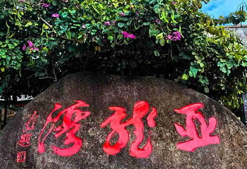 亚龙湾热带天堂森林公园第 207 张图片