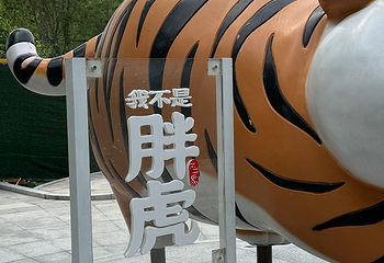 东北虎林园第 115 张图片