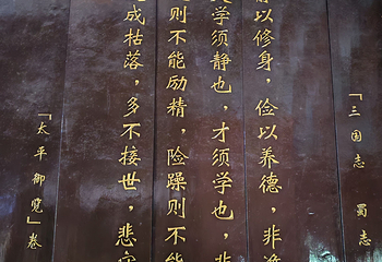武侯墓第 18 张图片