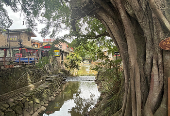福建土楼(南靖)景区第 85 张图片