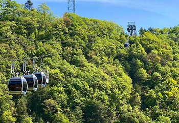 塔云山景区第 11 张图片