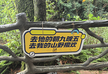 蒙顶山第 141 张图片