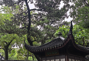 拙政园第 322 张图片