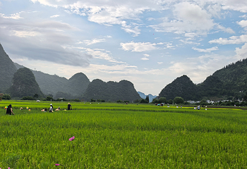 万峰林景区第 89 张图片