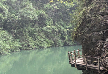 张家界大峡谷第 156 张图片
