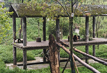 碧峰峡景区第 120 张图片