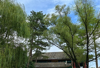 避暑山庄第 221 张图片