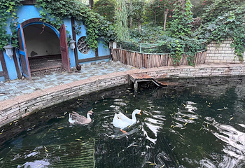 南宫旅游休闲度假区第 137 张图片