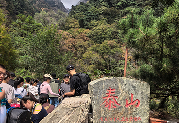 泰山风景区第 289 张图片