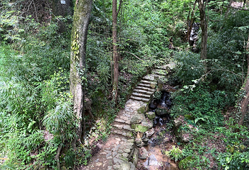 婺源篁岭景区第 319 张图片