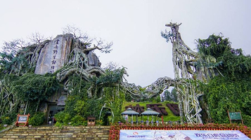 云南野生动物园-观景平台