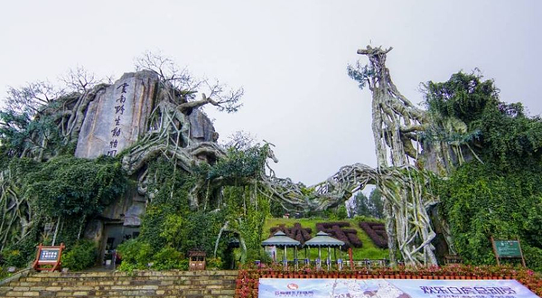 云南野生动物园-观景平台