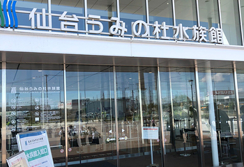 仙台海洋森林水族馆第 16 张图片