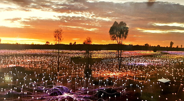 Field of Light Uluru