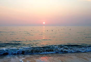 大川海水浴场第 20 张图片