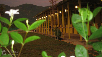 Countryside Stables Penang第 2 张图片