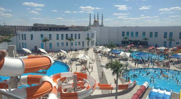 Aquapark Tree Of Life