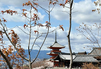 清水寺第 59 张图片