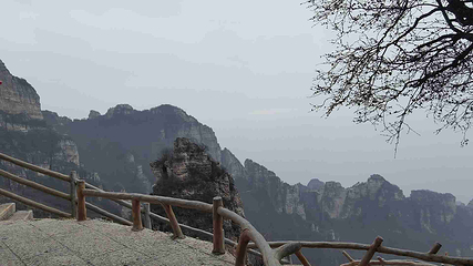 白石山世界地质公园第 162 张图片