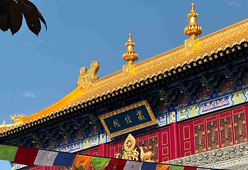 广仁寺第 40 张图片