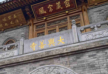 大兴善寺第 50 张图片