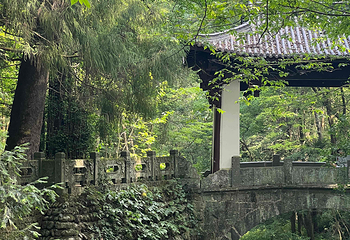 天目山自然保护区第 67 张图片