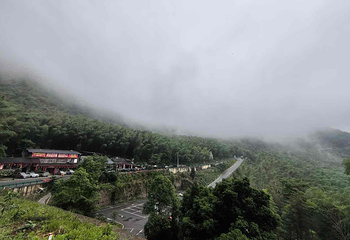 茶山竹海第 9 张图片