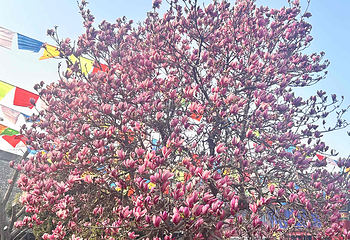 广仁寺第 68 张图片
