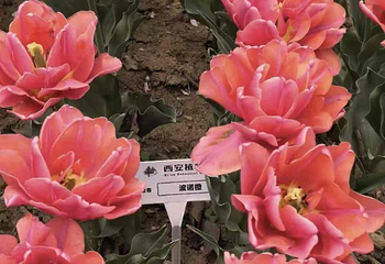 西安植物园新区第 43 张图片