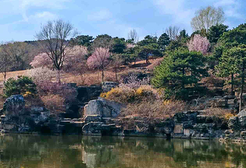 北京西山国家森林公园第 37 张图片