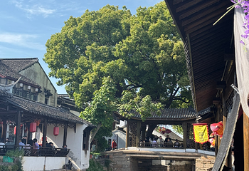 锦溪古镇第 43 张图片