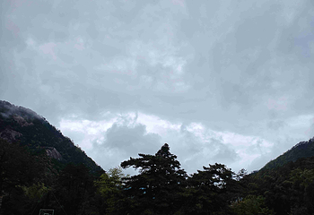 黄山风景区第 497 张图片
