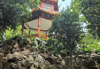 鲁迅公园第 51 张图片
