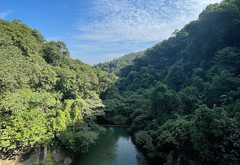 鼎湖山第 36 张图片