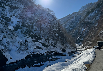 GALA汤泽滑雪场第 31 张图片