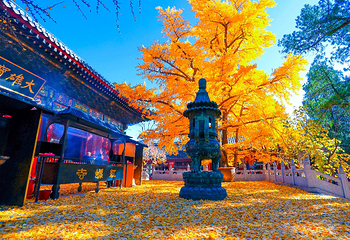 红螺寺第 43 张图片