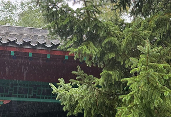 趵突泉景区第 278 张图片