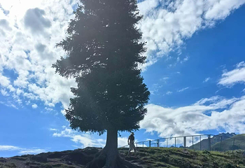 那拉提旅游风景区第 162 张图片