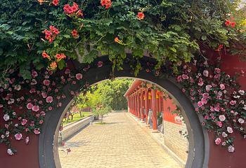 巩义石窟寺第 31 张图片