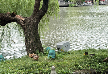 瘦西湖第 358 张图片