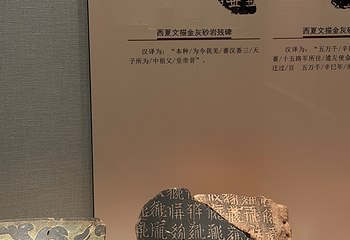 西夏陵第 306 张图片