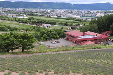 富良野葡萄酒厂第 5 张图片