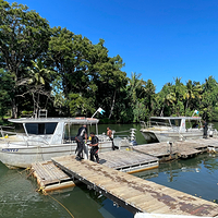 Beqa Adventure Divers