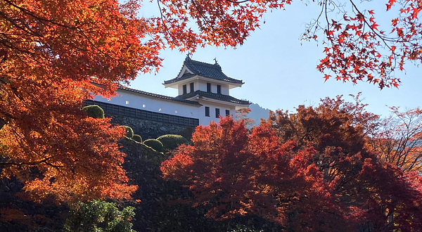 郡上八幡城