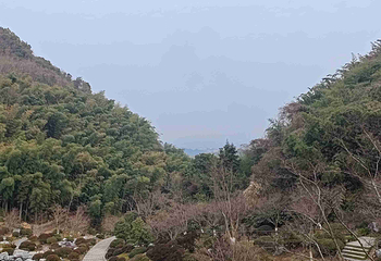 下渚湖·奇幻谷第 166 张图片